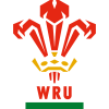 Pays de Galles 6 Nations voyages et séjours rugby
