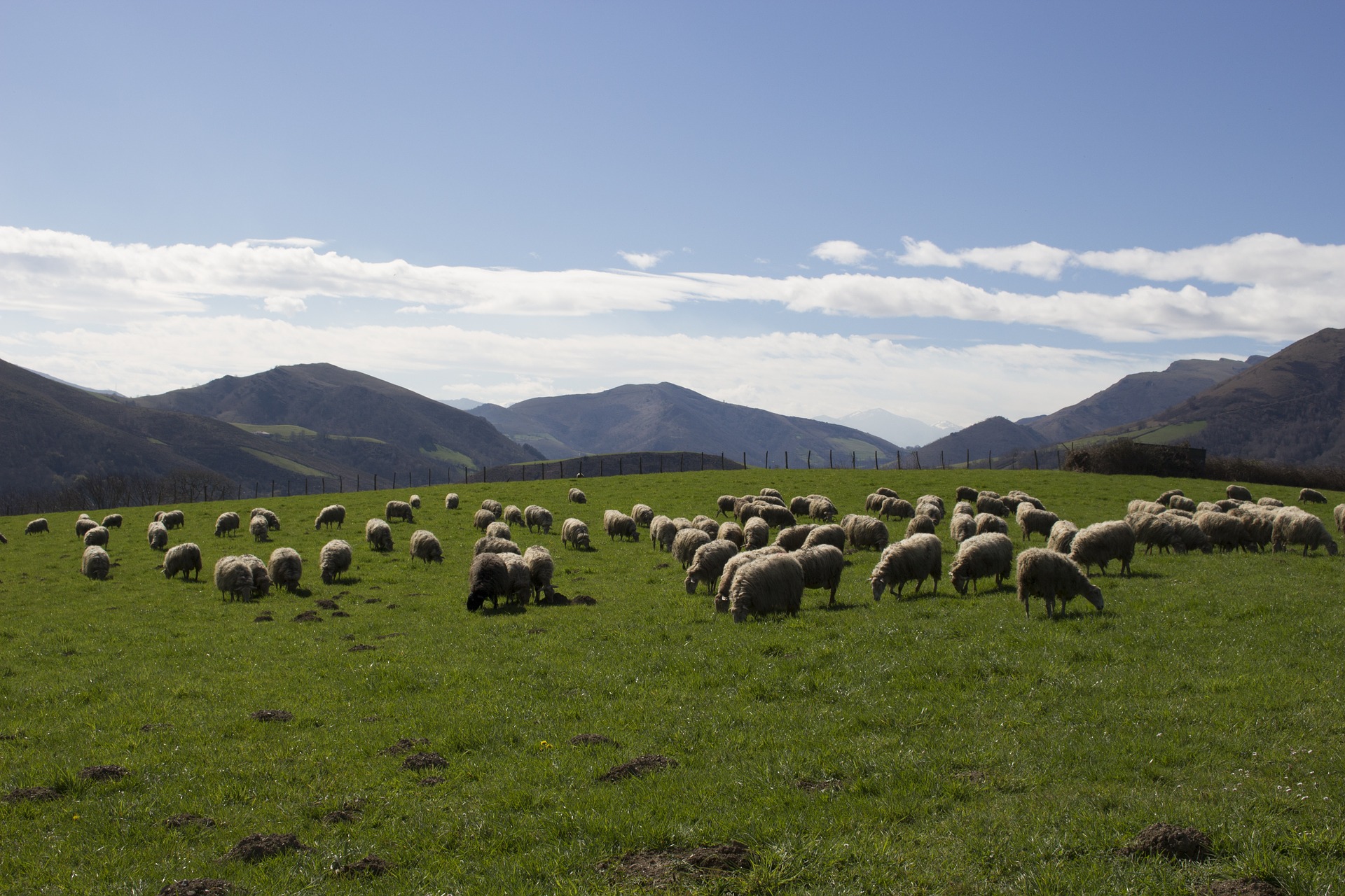 Experience Basque-Seminaire