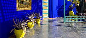 Maroc-Seminaire-Marrakech-Majorelle