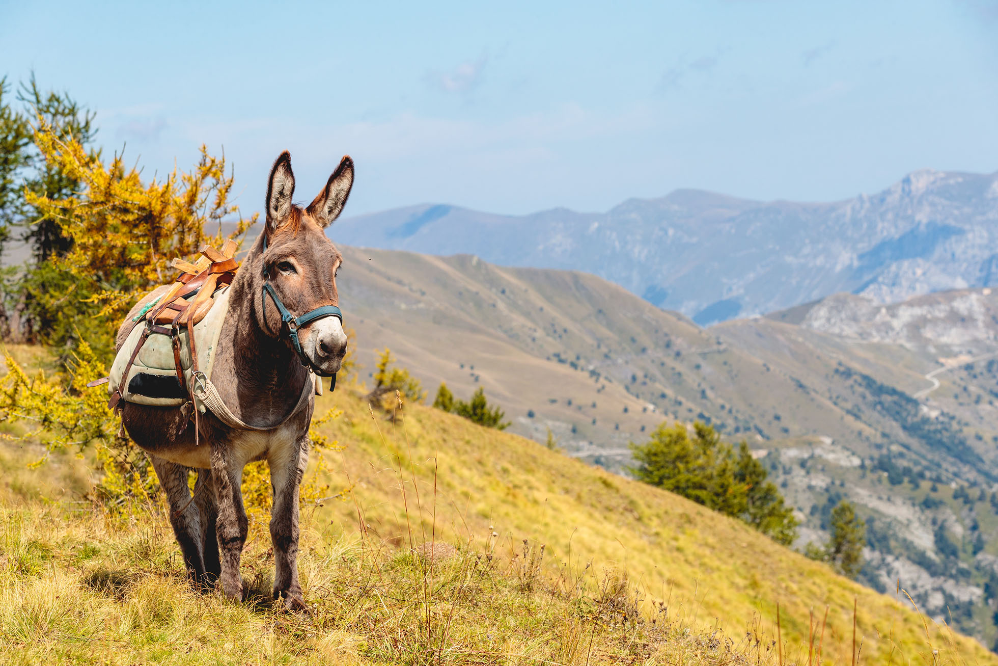 Mercantour-seminaire-team-building-incentive