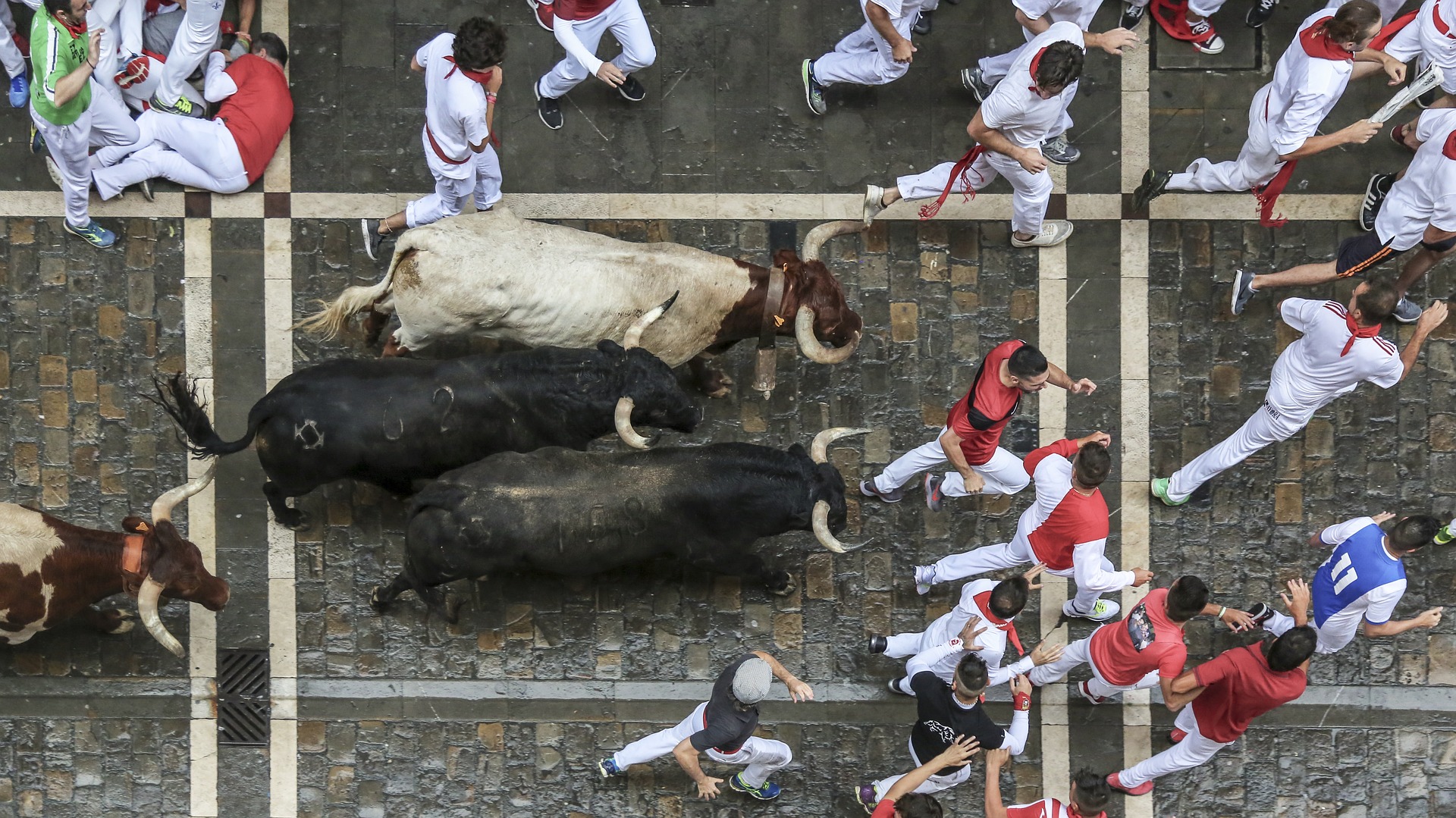 feria-sanfermin-taureau