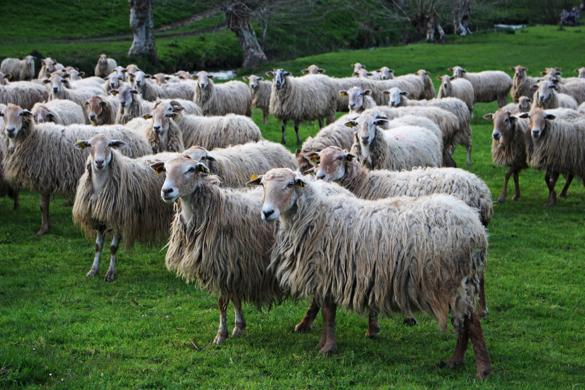 Séminaire Pays Basque