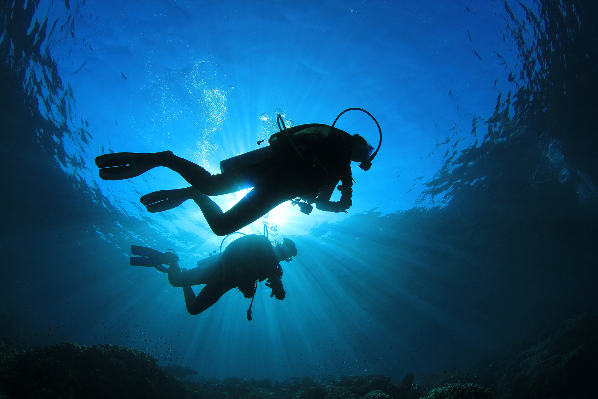 Séminaire Ibiza plongée sous marine